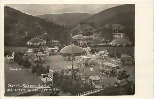 Bärenfels - Hotel Felsenburg -754194