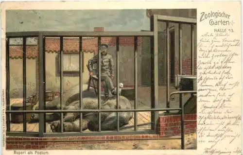 Halle Saale - Zoologischer Garten - Elefant - Litho -754620