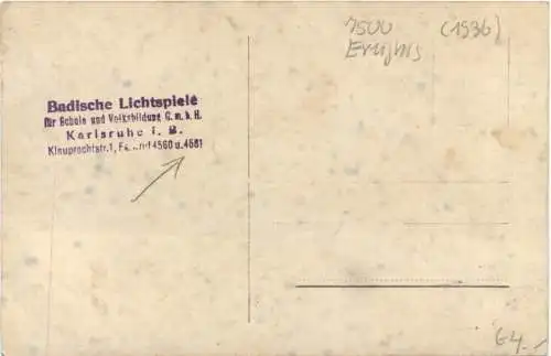 Orang-Utan Frau Film - Tiere sehen dich an -755622