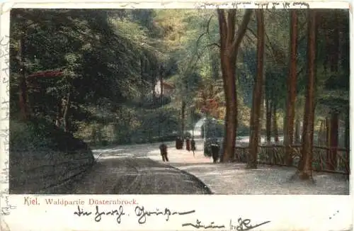 Kiel - Waldpartie Düsternbrock -755892