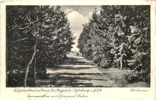 Schönberg Holstein -755914