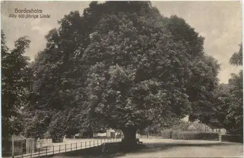Bordesholm - 600 jährige Linde -756202