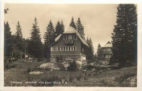 Feldberg - Hebelhof - Villa Liseli -756244