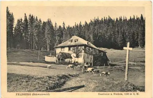 Feldberg - Gasthaus zum Rinken -756402