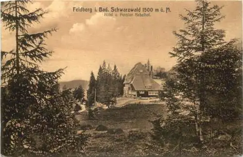 Feldberg im Schwarzwald - Hotel Hebelhof -756404