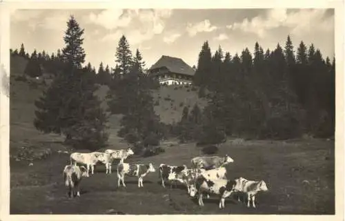 Feldberg - Naturfreundehaus -757542