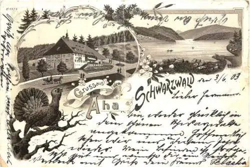 Gruss aus dem Aha - Schwarzwald Litho -757468
