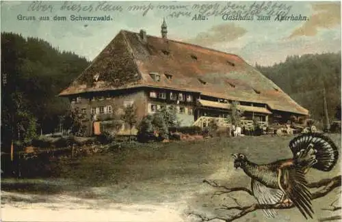Aha - Gasthaus zum Auerhahn -757524