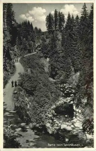 St. Blasien - Partie beim Tannhäuser -757556