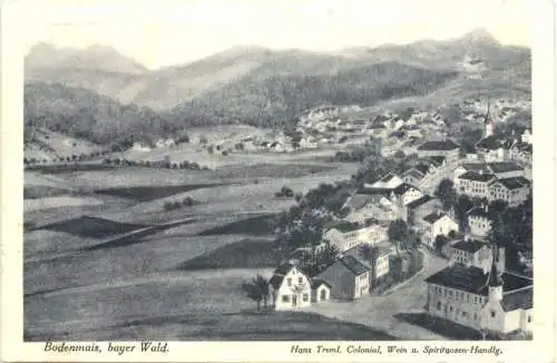 Bodenmais Bayr. Wald -757822