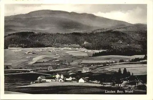 Linden bei Teisnach - Bay. Wald -757814