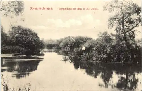 Donaueschingen - Einmündung der Breg -758158