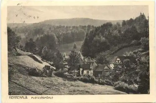 Plötz Sägemühle bei Herrenalb -758788