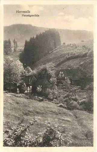 Plötz Sägemühle bei Herrenalb -758738