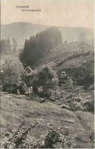 Plötz Sägemühle bei Herrenalb -758778