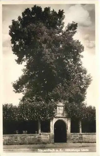 Neunstadt a. K. - 1000 jährige Linde -759206