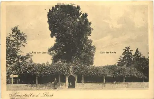 Neuenstadt a. d. Linde -759230