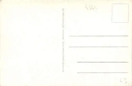 Osnabrück - Pinguine des Versandhauses Nordland -759918