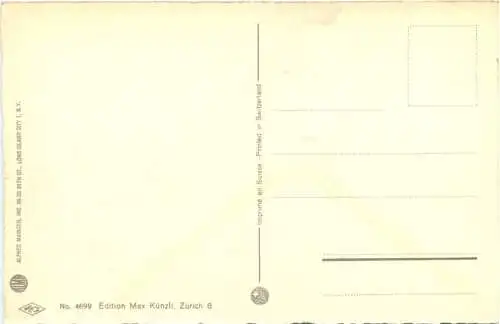 vermenschlichte Katzen -761396