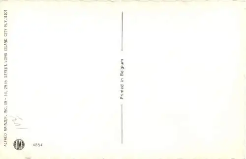 vermenschlichte Katzen -761416