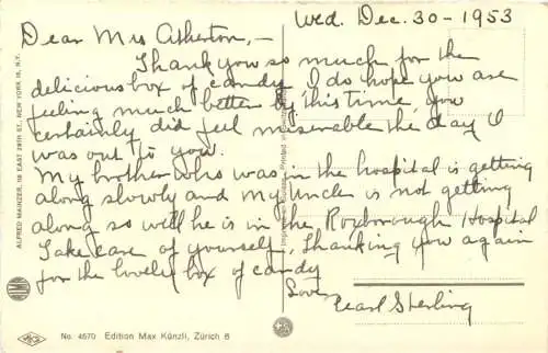 vermenschlichte Katzen -761392