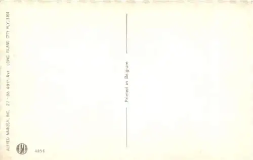 vermenschlichte Katzen -761414