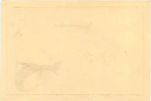 Künstler Karte -761652