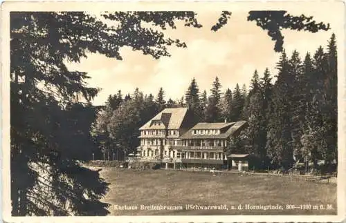 Kurhaus Breitenbrunnen im Schwarzwald bei Hornisgrinde -761866