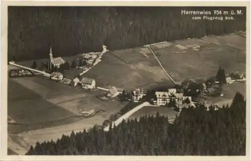 Herrenwies im Schwarzwald -761836