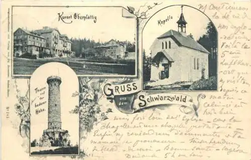 Oberplättig - Gruss aus dem Schwarzwald - Bühlertal -761844