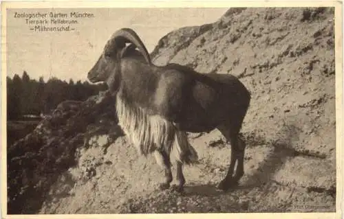 München - Zoologischer Garten -762700