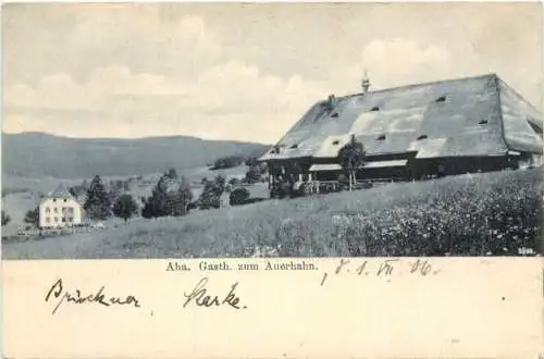 Aha - Gasthaus zum Auerhahn - Schluchsee -762924