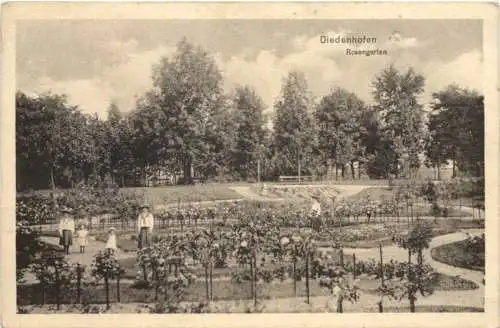 Diedenhofen - Rosengarten -763598