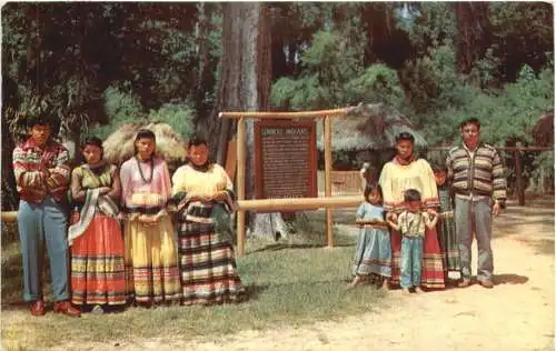 Florida - Seminole Indian Village -764466