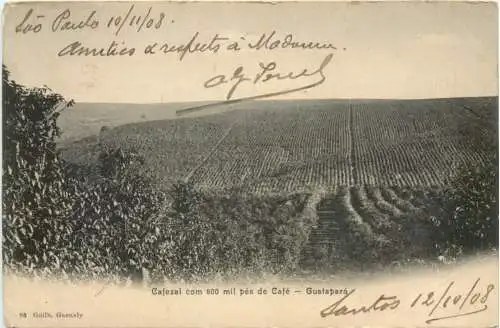 Brazil - Guatapara -764580