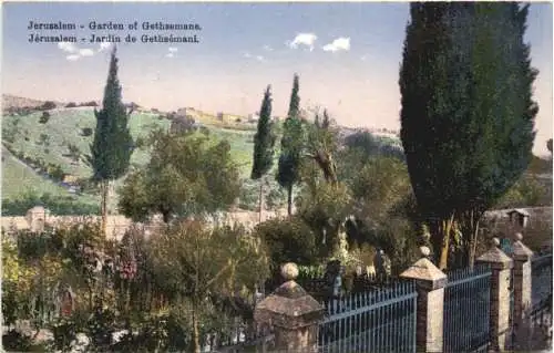 Jerusalem - Garden of Gethsemane -764646