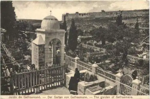 Garden of Gethsemane in Jerusalem -764696