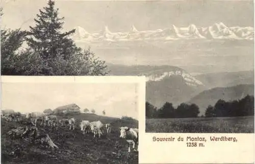 Souvenir du Montoz - Werdtberg -765206