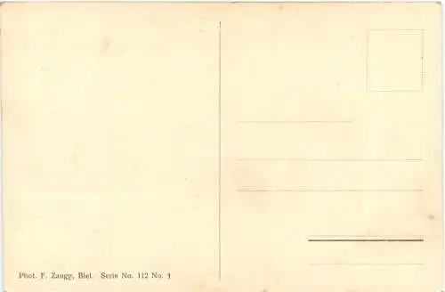 Waldsturz ob Leubringen bei Biel -765224