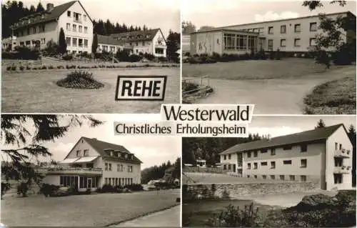 Rehe Westerwald -765264