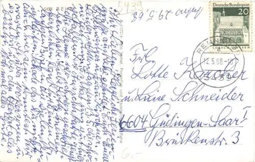 Rehe Westerwald -765264