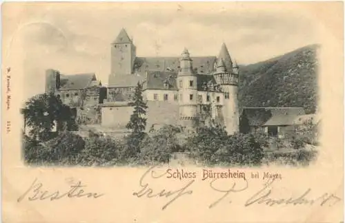 Schloss Bürresheim bei Mayen -765284