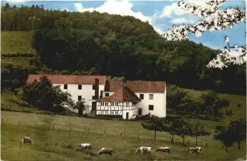 Honerath bei Adenau - Haus St. Willibrord -765396