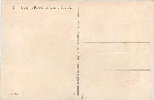 Fort 3 der Festung Ossowiec -765792