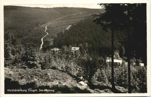 Waldbärenburg Erzgebirge - Der Heuweg -765546