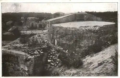 Fort 3 der Festung Ossowiec -765586