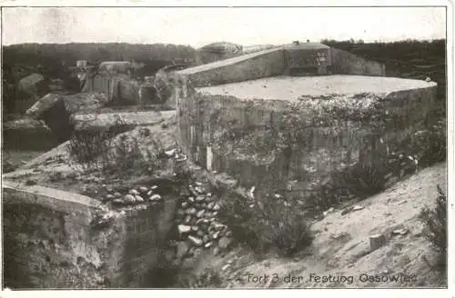 Fort 3 der Festung Ossowiec -765794