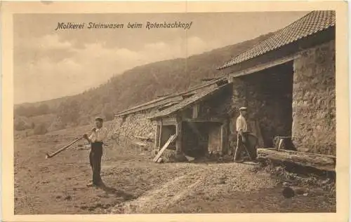 Molkerei Steinwasen beim Rotenbachkopf -766148