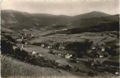 Yach bei Elzach - Schwarzwald -766158