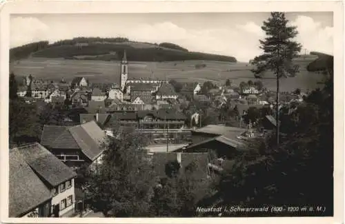 Neustadt im Schwarzwald -766180